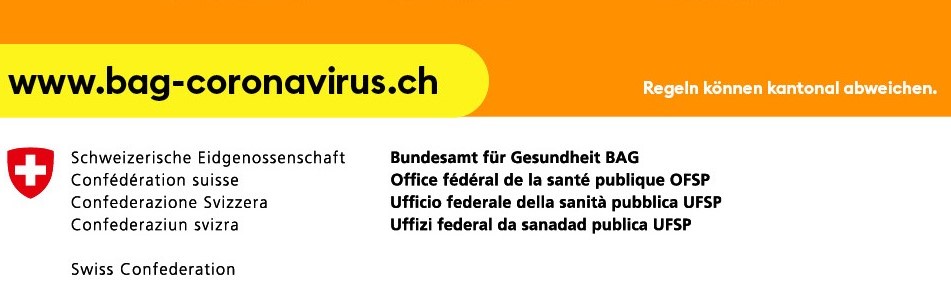 Schutzkonzept Swingscouts